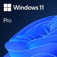 Windows 11 Pro Windows 11 Pro